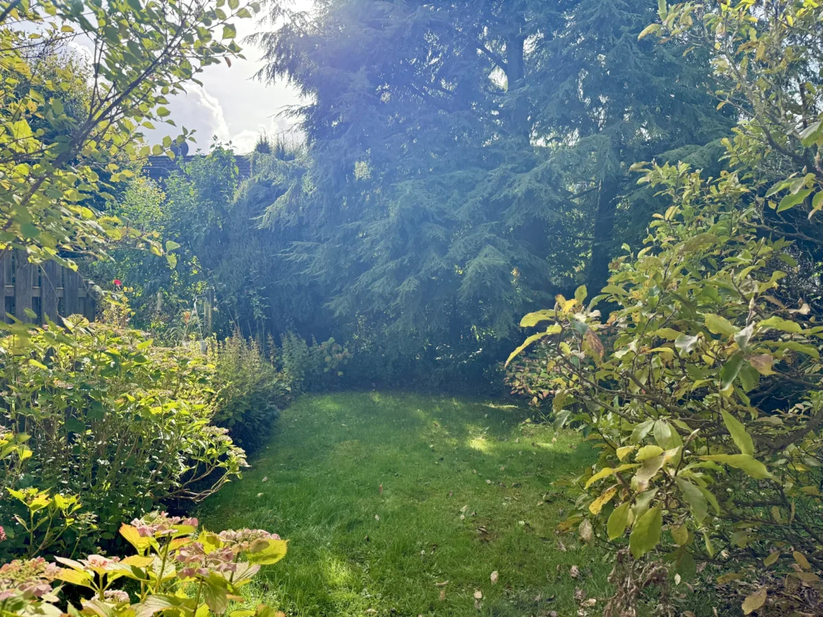Garten
