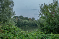 Blick aus dem Garten auf den Bracksieks Teich