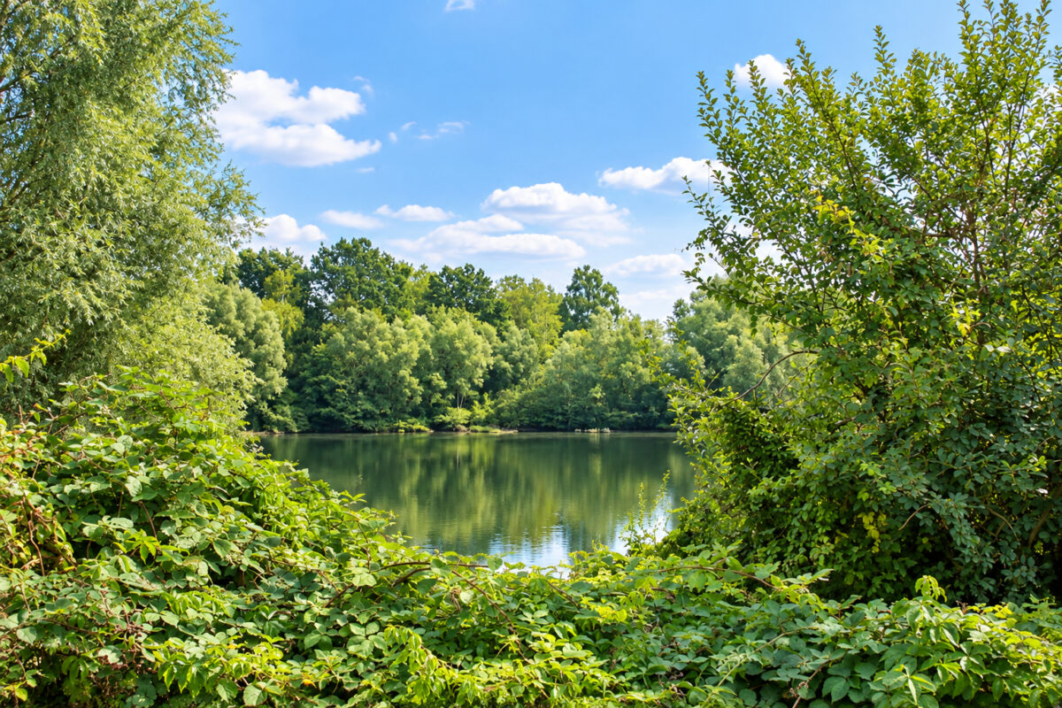 Blick auf den Bracksieksteich