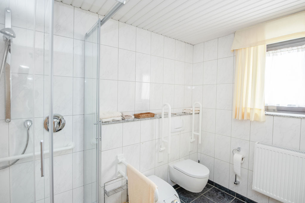Tageslichtbad mit Dusche DG