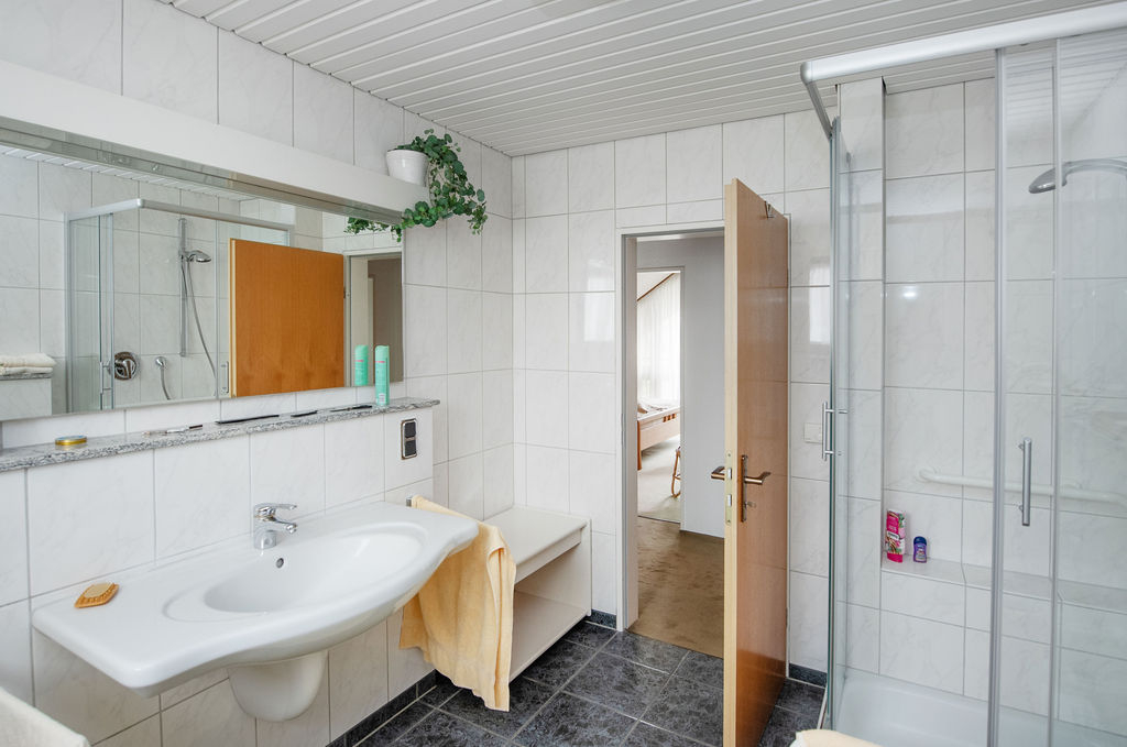 Tageslichtbad mit Dusche DG