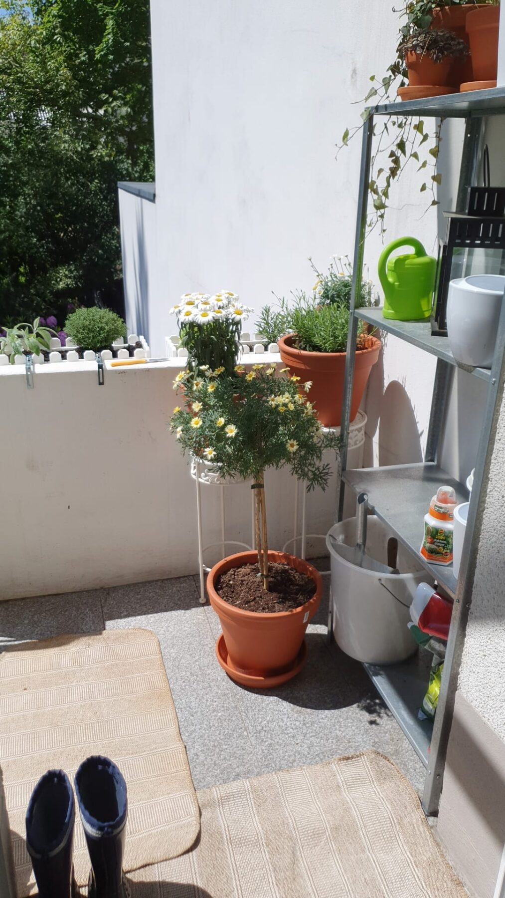 Austritt aus der Wohnung