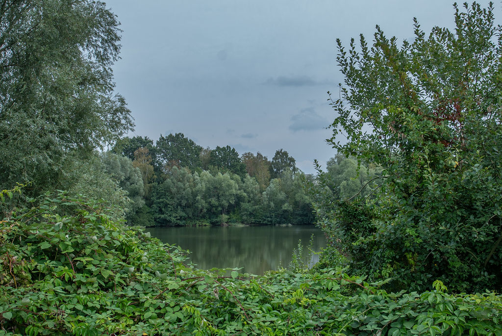 Blick aus dem Garten auf den Bracksieks Teich