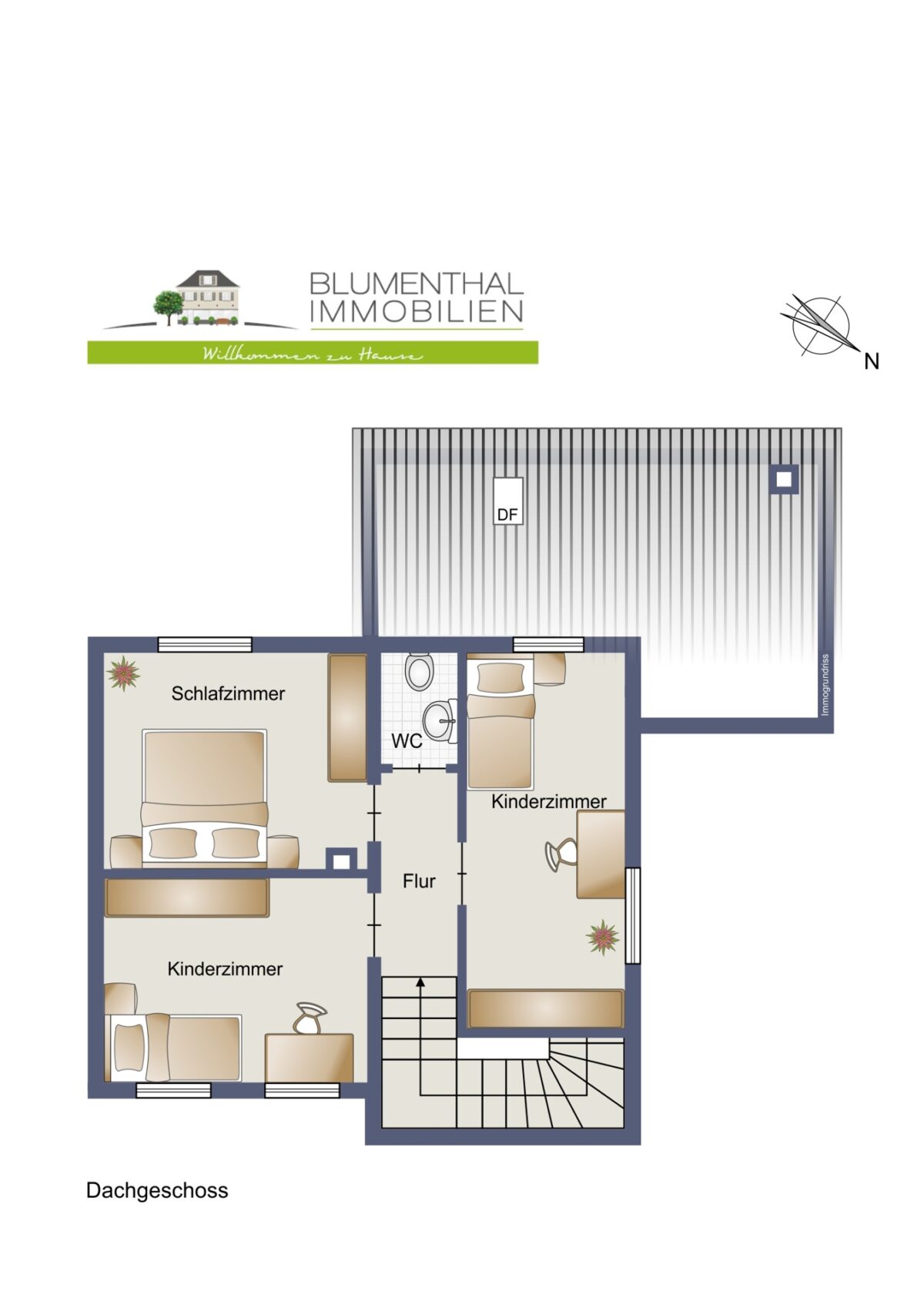 Grundriss DG